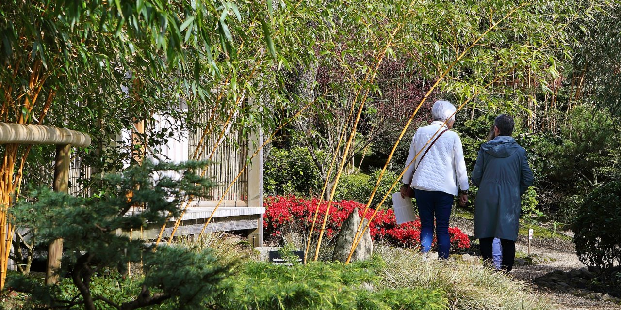 People walking in the Japanese Garden
